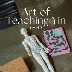 30 Okt -1 Nov, Art of Teaching YIN  25hr (level 2)
