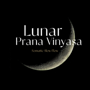 Start 15 Jan '27, Teaching Lunar Vinyasa (50hr YA)